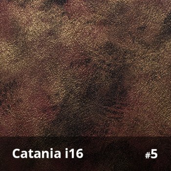 Catania i16 5